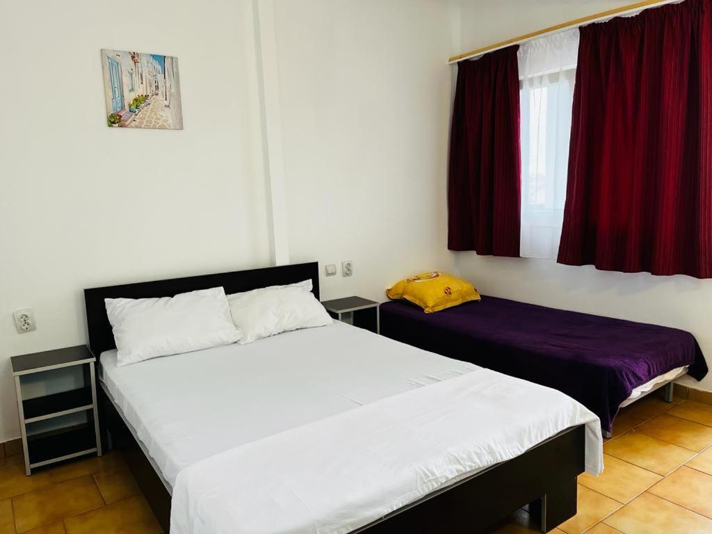 Hotel Casa Andrei Costinesti Esterno foto